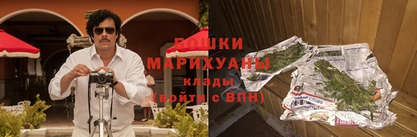 бошки Горняк