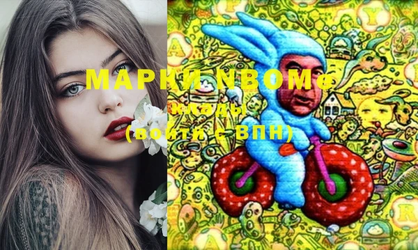 бошки Горняк