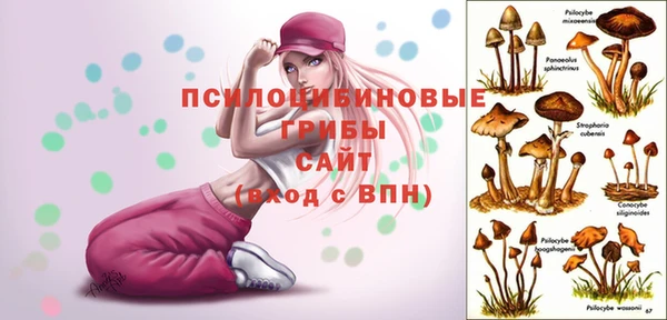 таблы Горнозаводск
