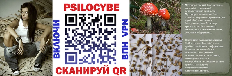 Псилоцибиновые грибы MAGIC MUSHROOMS  Гусиноозёрск 